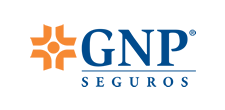 GNP SEGUROS